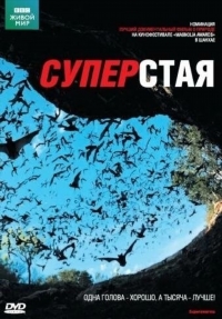 BBC: Суперстая